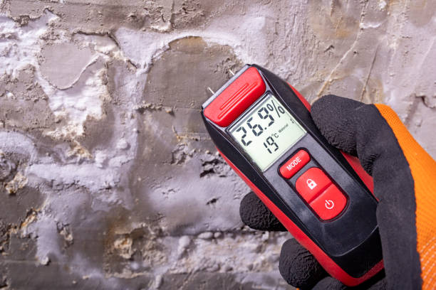 Best Commercial Mold Removal  in Waverly, NE
